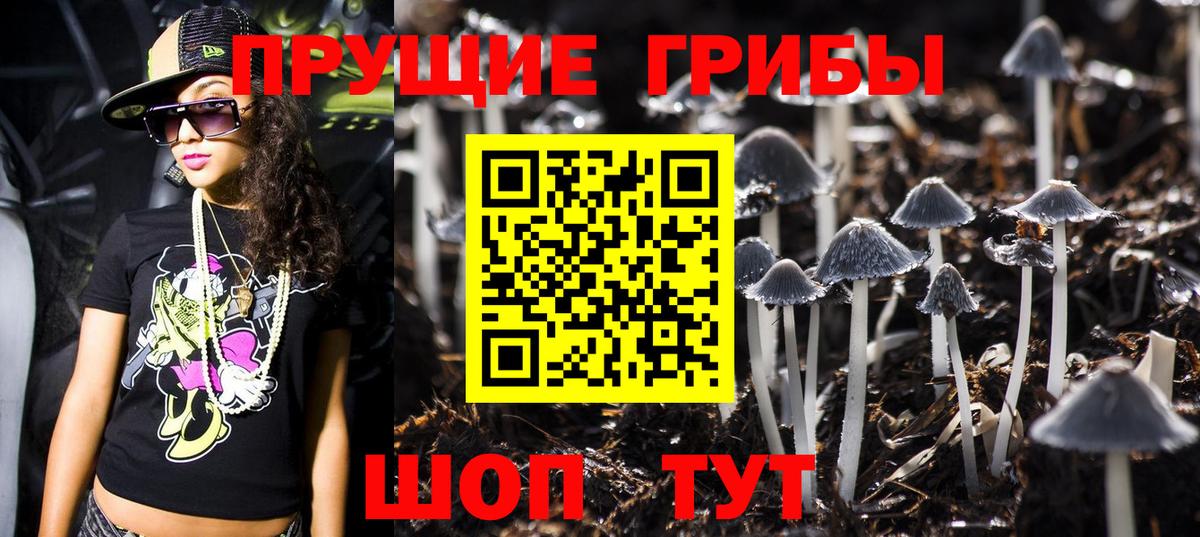 Псилоцибиновые грибы Cubensis  продажа наркотиков  Курган  Вход с VPN 